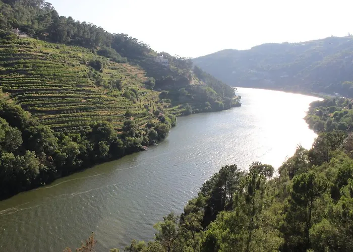 Casa Do Passarinho * 레센데